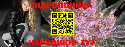 скорость Аргун