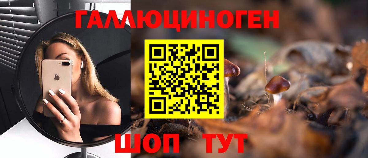 Брянск  Псилоцибиновые грибы мицелий  Вход с VPN  Псилоцибиновые грибы Magic Shrooms 